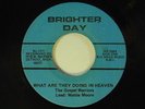 Gospel Warriors 45 What Are They Doing.../ He's Brighter Day VG- minor dish-dnap