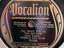 BUMBLE BEE SLIM VOCALION 03384 BLUES 78 RPM E+/E-