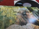 JOHN MAYALL  