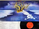 LOCANDA DELLE FATE FORSE LE LUCCIOLE NON SI AMANO PIU POLYDOR 18MM 0584 JAPAN LP