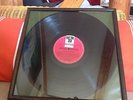 Elvis Presley  Golden Boy SHZT 521 Hörzu / Teldec 1965 German Press only Record