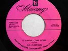 CHESTNUTS 45 I wanna come home / Don't go  MERCURY VG++ Doowop bb3008