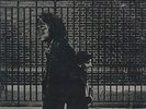Neil Young-4 LPs-VG+/Exc-Harvest, After The Gold Rush, Landing On Water, Trans