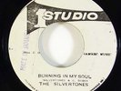 Silvertones 