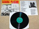 The Triffids - Raining Pleasure - 1984 UK Vinyl LP