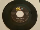 Original 1960 The Phantom Love Me / Whisper Your Love 45 rpm on Dot VG-VG+ 16056