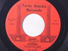 EMOTIONS: Brushfire / Somebody New 45 Soul