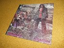 Steamhammer Vinyl Reflection German First Press