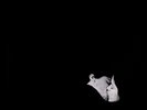 BOB MOSES - DAYS GONE BY (2LP+MP3) 2 VINYL LP + DOWNLOAD NEU