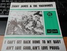 JIMMY JAMES and the VAGEBONDS 45 I CANT GET BACK HOME+PS HOLLAND RARE MOTOWN