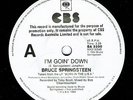 Bruce Springsteen-Aussie White Label Promo 45 with PS 