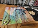 AMON DÜÜL WOLF CITY 1972 MINT GERMAN KRAUTROCK MONSTER