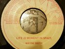 Wayne Smith Life Is A Moment In Space Killer Roots 7