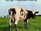Pink Floyd - Atom Heart Mother (Orange Marble Vinyl)