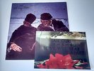 JOY DIVISION - MORITURI TE SALUTANT live LP death in june post punk + photo