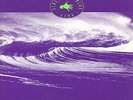 Midnight Oil- Scream In Blue - Live LP NEW
