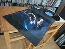 SIOUXSIE AND THE BANSHEES : THE SCREAM LP 1978 POLYDOR 5009 UK MINT