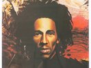 BOB MARLEY & THE WAILERS Natty Dread SEALED 1st PRESS- ARCHIVE LP