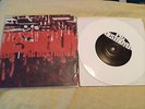Pig Destroyer ISIS split 7