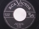 ROBINS: A Fool Such As I / My Heart's The Biggest Fool 45 rare Vocal Groups