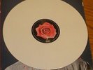 Anti-Flag American Spring Bundle Opaque White Vinyl + Cease Fires Picture Disc