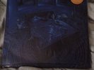 PHISH RIFT ALBUM BLUE VINYL MAGNABALL WATKINS GLEN DAVID WELKER POSTER PRINT