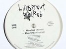 Lil' Sprout & Big Rob 