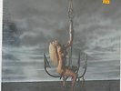 GREAT WHITE HOOKED ORIGINAL 1991 BANNED COVER SEALED CAPITOL C1-95330 NO CUTOUTS
