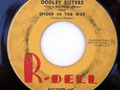 HEAR Dooley Sisters 45 Spider In A Web/No More R-DELL killer popcorn R&B soul