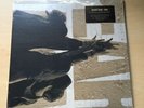 LP PEARL JAM TEN USA 2009 Code 88697413021 SEALED NIRVANA ALICE IN CHAINS