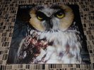Low Ones and Sixes Loser Edition Colored vinyl Sub Pop