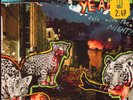 Yeah Yeah Yeahs(7