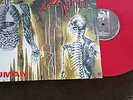 Death - Human ltd red vinyl on Back on black 2007