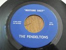 Texas Garage: The Pendeltons on Alamo Audio 116