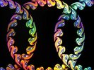 Tool - Lateralus - New Double Picture Disc