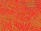 DESTRUCTION UNIT-NEGATIVE FEEDBACK RESISTOR-VINYL LP SACRED BONES NEW