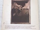 PIXIES *SURFER ROSA* VINYL LP 1ST PRESS (CAD 803) *RARE* W/ORIGINAL INSERT
