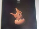 RIBLJA CORBA-MRTVA PRIRODA-RARE ORIGINAL YUGOSLAV LP 1981-NEAR MINT-GATEFOLD