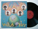 WILD FIRE wild fire RARE ISLAND FUNK Kala Loo