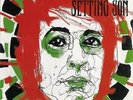 The Setting Son - The Setting Son  Vinyl LP 14 Tracks Alternative Rock Neu