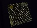 FACTORY SEALED Beach House - Bloom - WHITE VINYL Loser Edition NEW