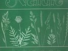 Tetragon Nature 1971 KRAUTROCK NEAR MINT Amber Soundroom Vinyl LP