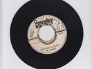INVADER/HEAVEN AND EARH  -  THE INVADERS  (74 REGGAE ROCKERS  7