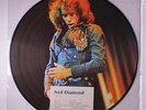 NEIL DIAMOND: Hot August Night - Greatest Hits LP (pic disc, PVC sleeve)