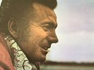 FERLIN HUSKY: True True Lovin' (US ABC Records ABCX-776 Stereo / NM)