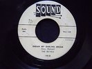 The RE-VELS / Dream My Darling / Cha Cha Tony - Sound135 VG+