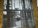 PAUL MCCARTNEY LP 
