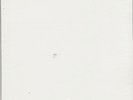 Jimi Hendrix, Blues 2LP Test Pressing SS - Blue Vinyl