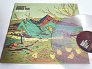 AUGUST BURNS RED - LEVELER - WHITE VINYL-LP/Vinyl/Record
