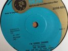 The Velours-I'm Gonna Change-7